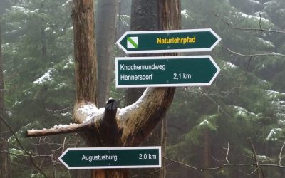 Waldweg- und Straßensperrung zwischen Hennersdorf und Augustusburg